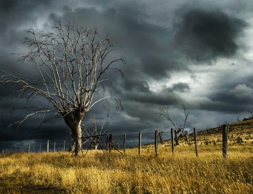 Song Lyrics: The hurricane’s gonna spread until it’s done