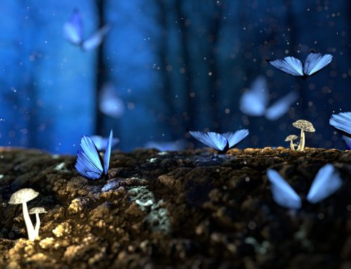 Poem: There’s Always Afterlife